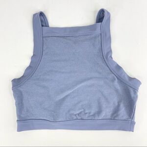 Aerie Crop Top Blue Metallic Size Medium